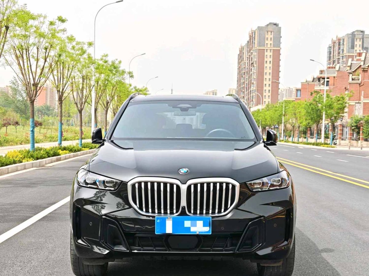 寶馬 寶馬X5  2023款 xDrive 40Li M運(yùn)動(dòng)曜夜套裝圖片