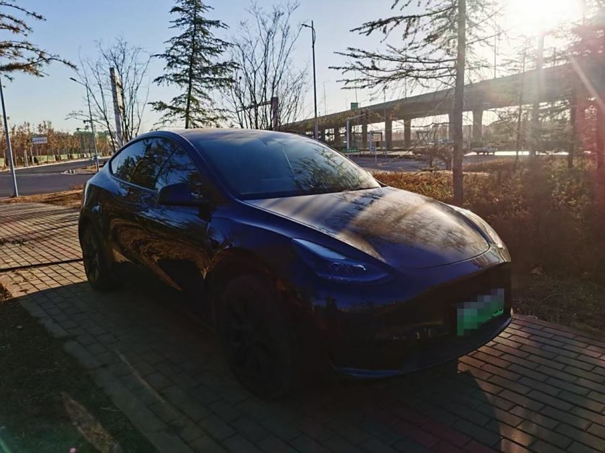 特斯拉 Model 3  2020款 改款 長續(xù)航后輪驅動版圖片