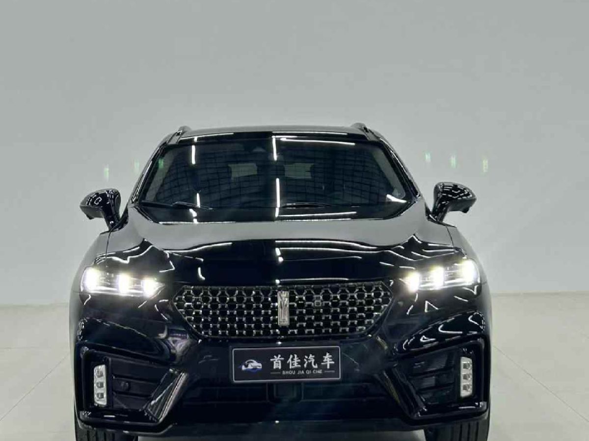 WEY 瑪奇朵  2021款 1.5L DHT原萃版圖片