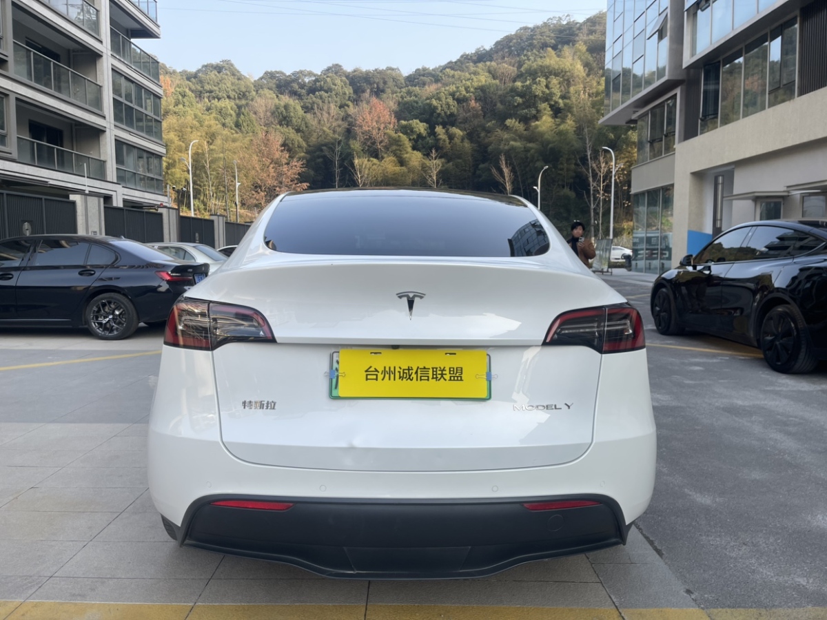 特斯拉 Model 3  2021款 改款 標(biāo)準(zhǔn)續(xù)航后驅(qū)升級(jí)版圖片