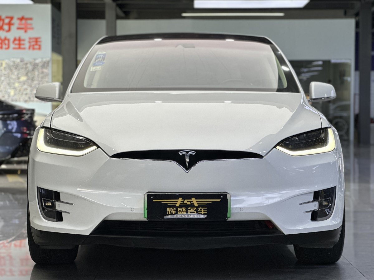 特斯拉 Model X  2016款 Model X 90D图片