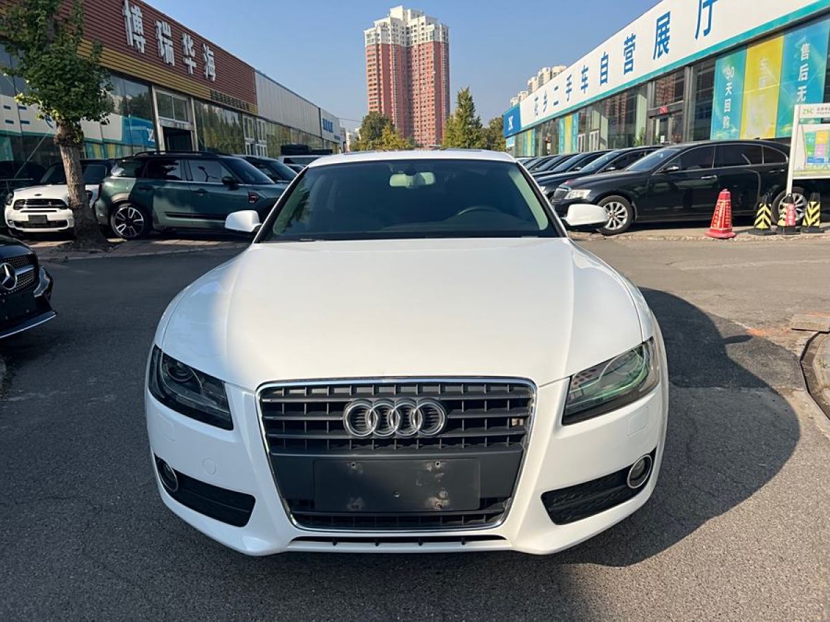 奧迪 奧迪A5  2010款 2.0TFSI Sportback 豪華型圖片