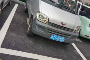 五菱繽果PLUS 五菱 330km 五座版