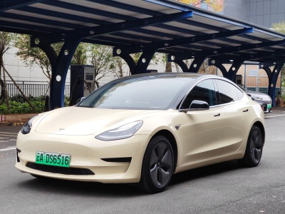 2021年1月 特斯拉 Model 3 改款 標(biāo)準(zhǔn)續(xù)航后驅(qū)升級(jí)版圖片