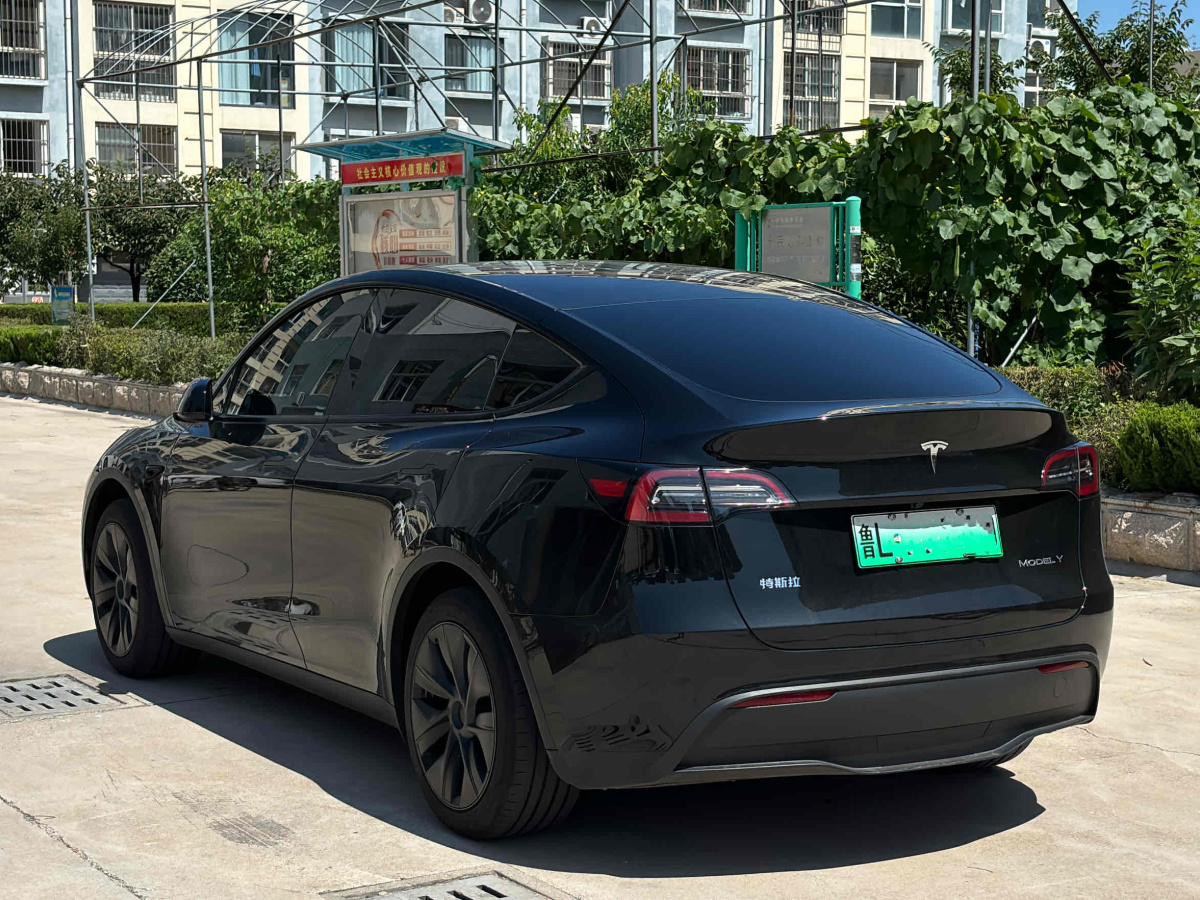 特斯拉 Model 3  2020款 改款 長續(xù)航后輪驅(qū)動版圖片