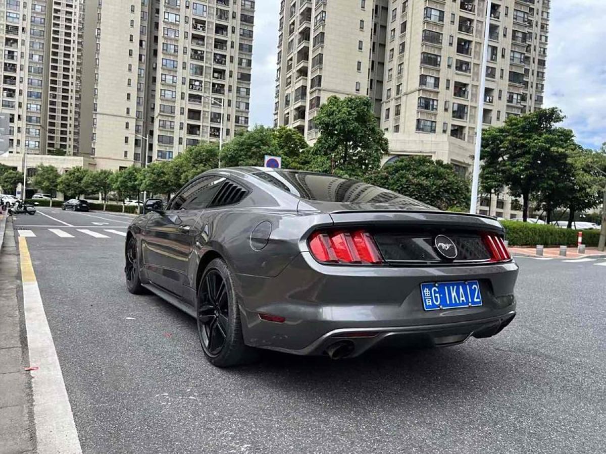 福特 Mustang  2015款 2.3T 50周年紀(jì)念版圖片