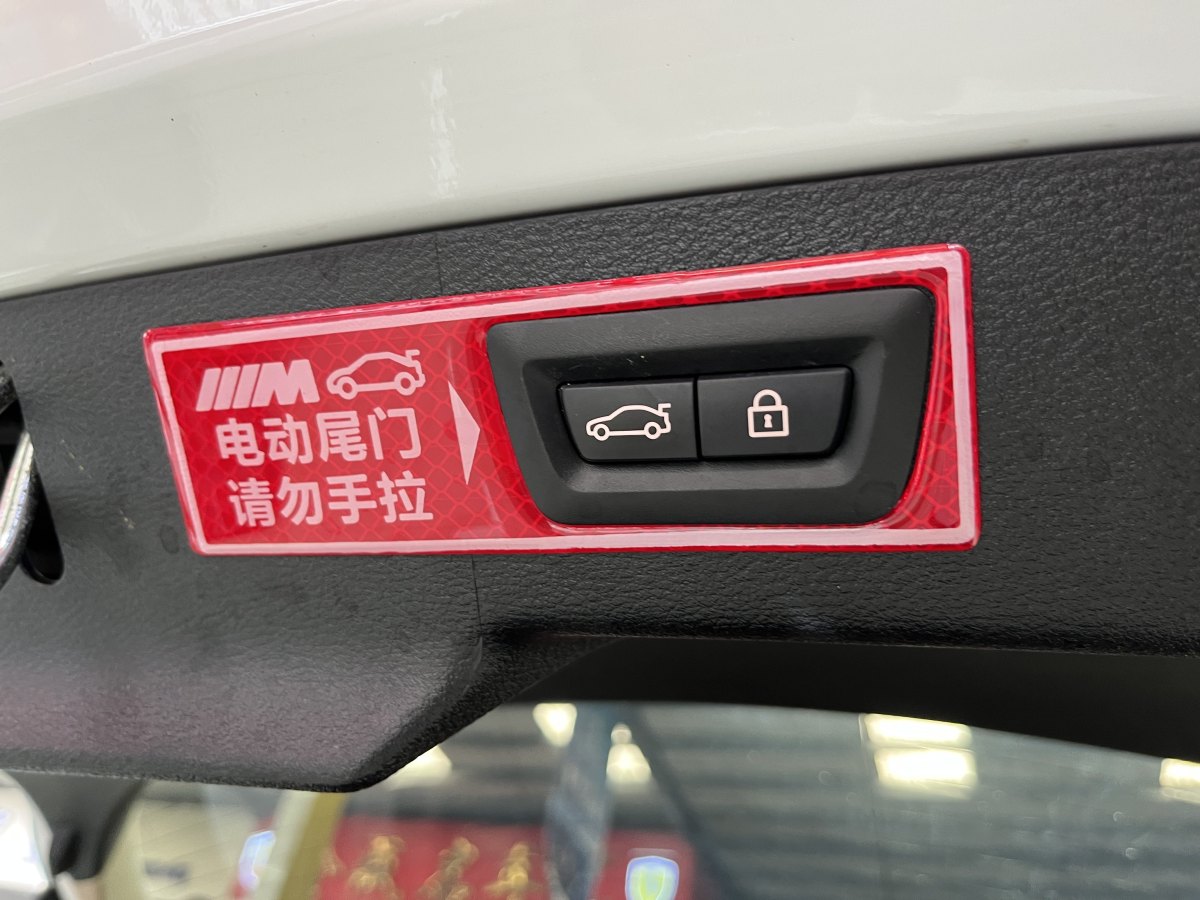 寶馬 寶馬X6  2018款 xDrive35i 領(lǐng)先型圖片