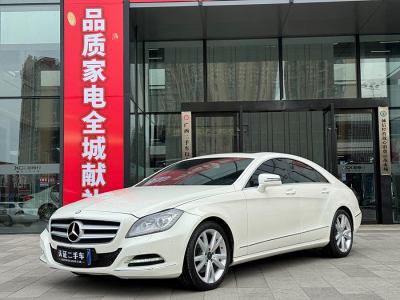 2013年4月 奔馳 奔馳CLS級(進口) CLS 300 CGI圖片