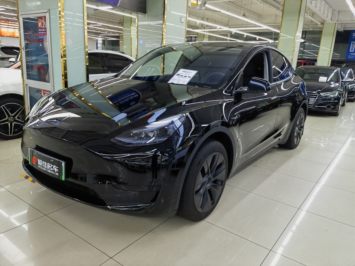 特斯拉 Model Y  2020款 改款 長續(xù)航后輪驅(qū)動版圖片