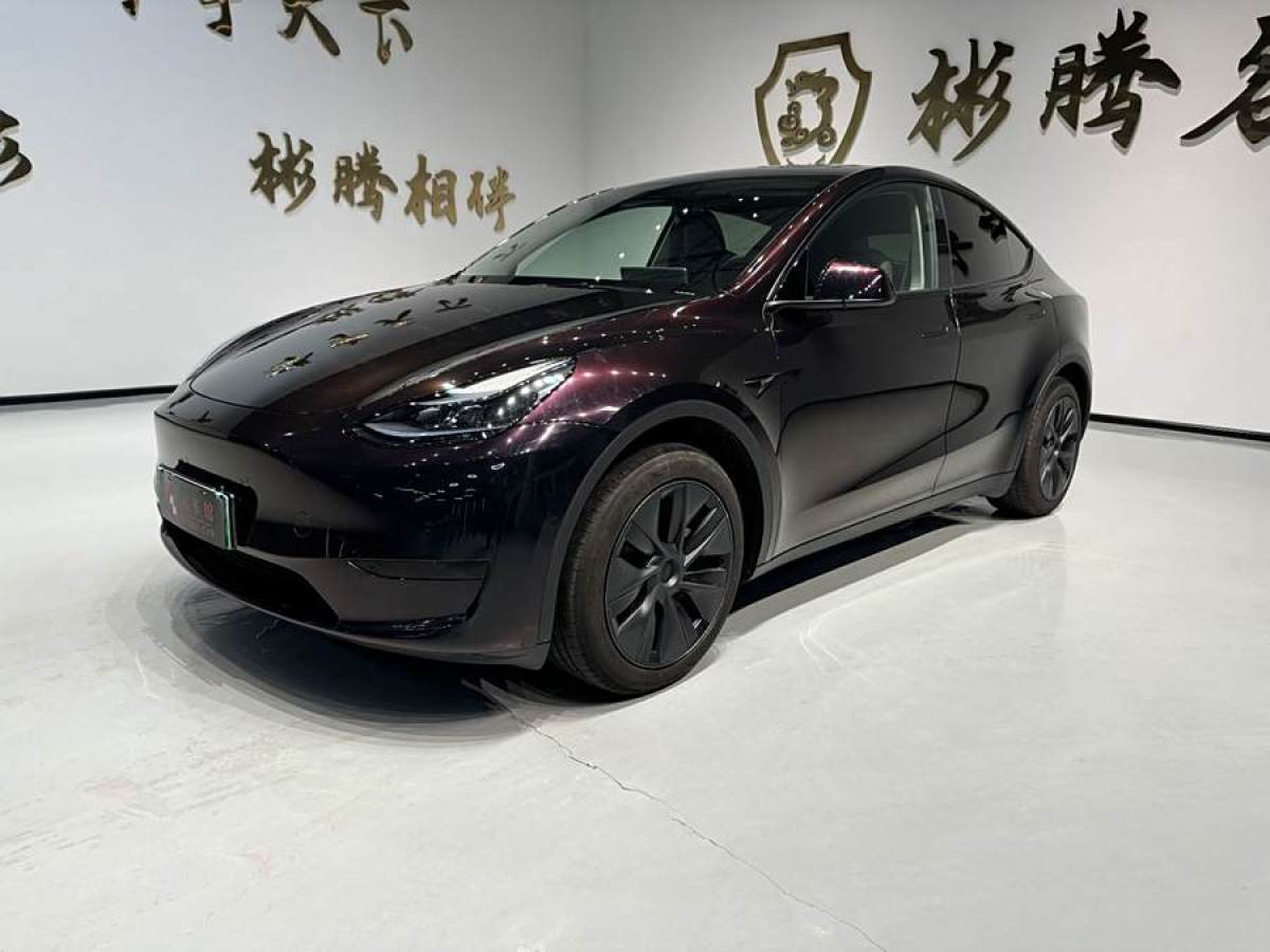 特斯拉 Model 3  2023款 煥新版 后輪驅(qū)動圖片