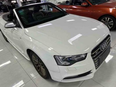 2014年1月 奧迪 奧迪A5(進(jìn)口) A5 Cabriolet 2.0TFSI 45TFSI Quattro圖片