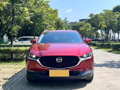 2020年9月 马自达 CX-30 2.0L 自动尊悦型图片