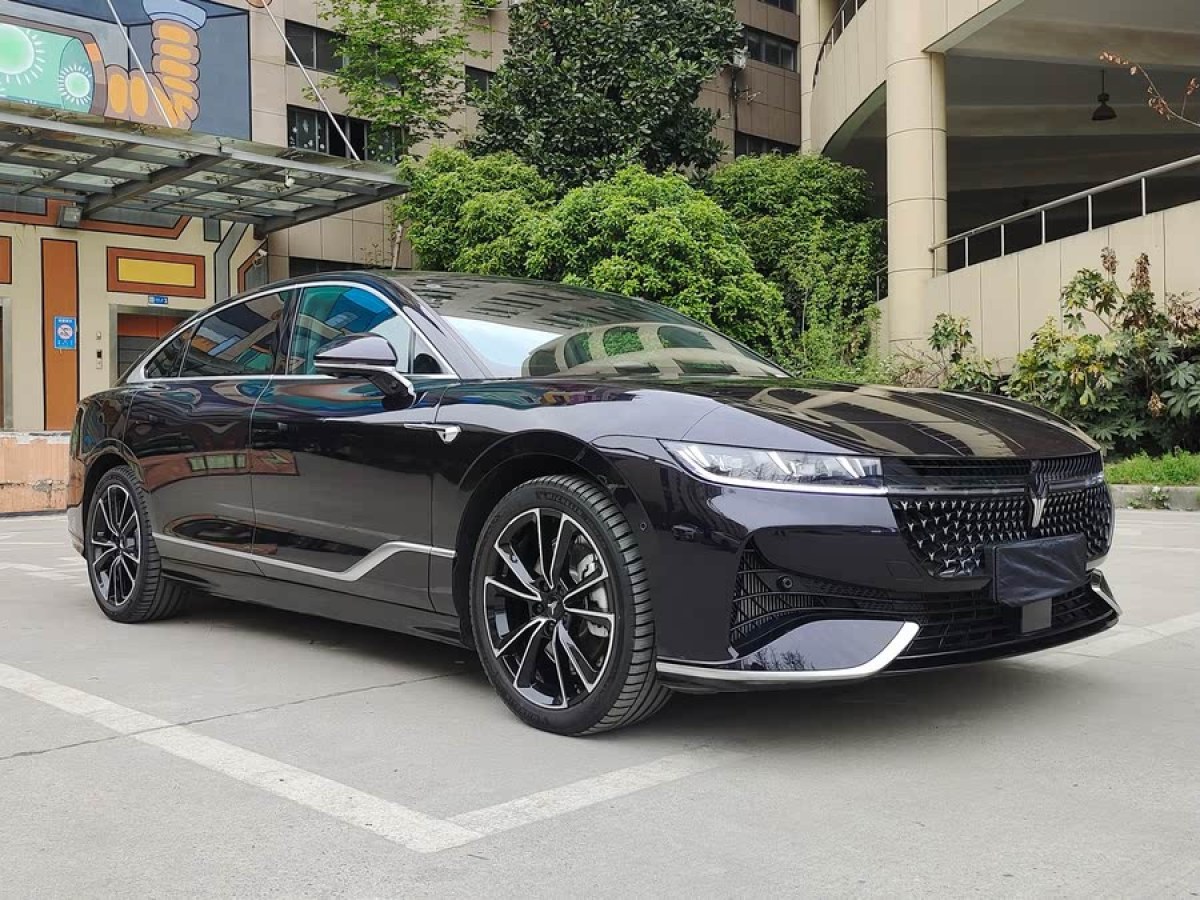嵐圖 嵐圖追光  2024款 PHEV 四驅超長續(xù)航旗艦版圖片