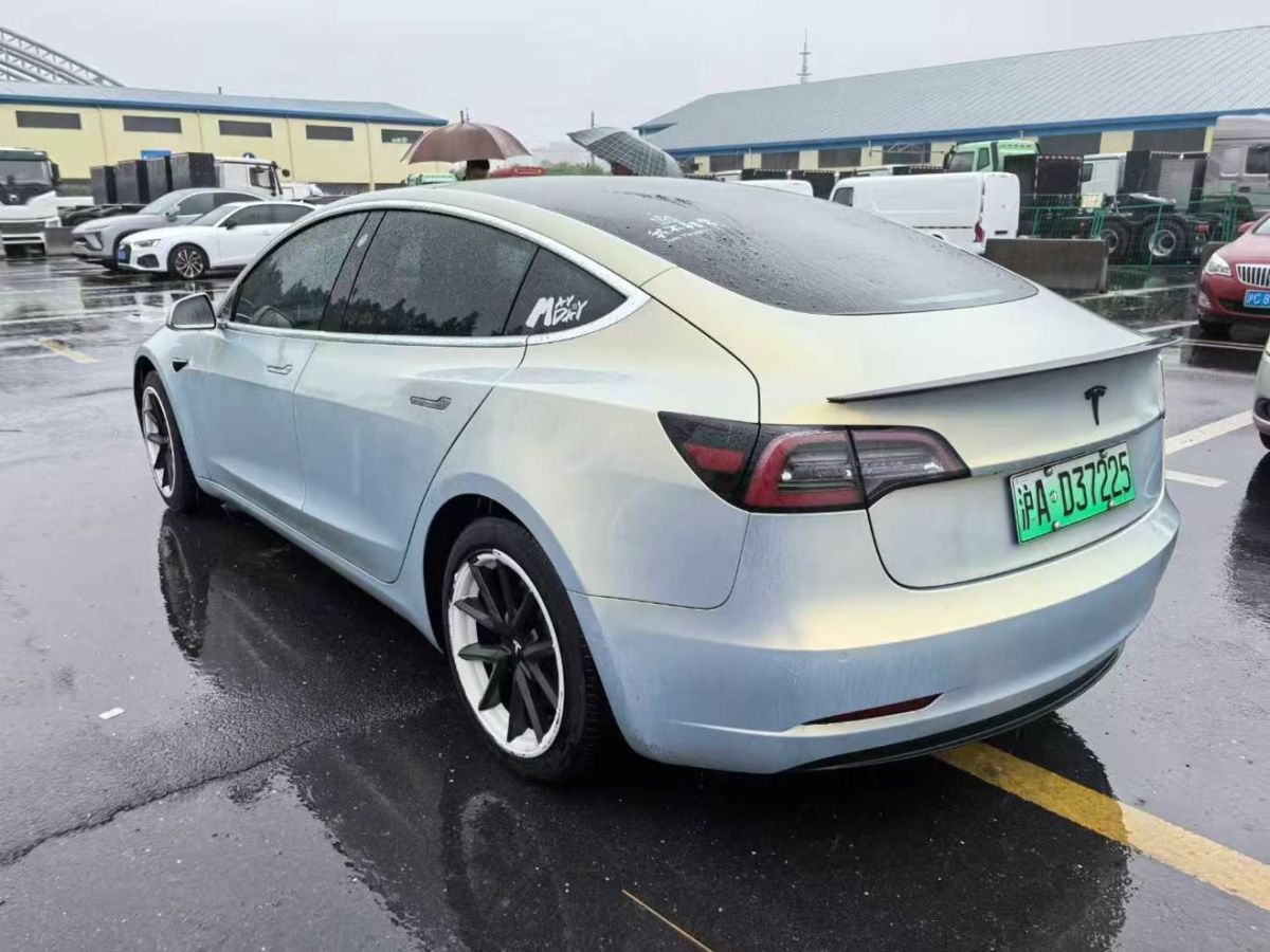 特斯拉 Model X  2020款 Performance 高性能版圖片