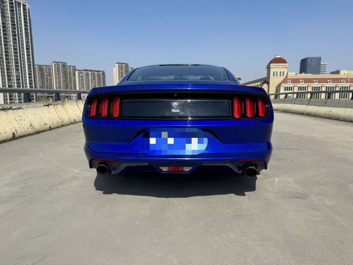 福特 Mustang  2015款 2.3T 性能版圖片