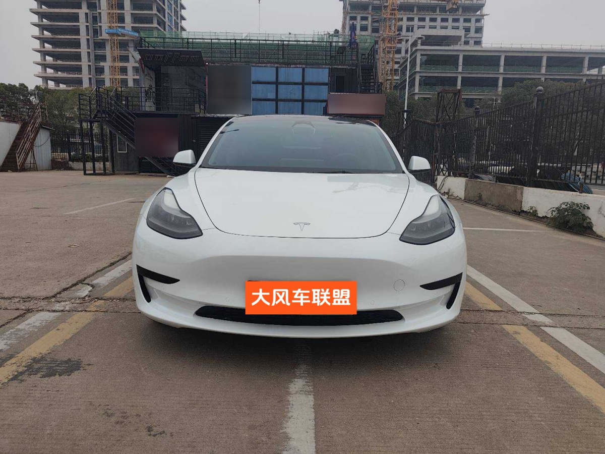 特斯拉 Model 3  2021款 標(biāo)準(zhǔn)續(xù)航后驅(qū)升級(jí)版 3D6圖片