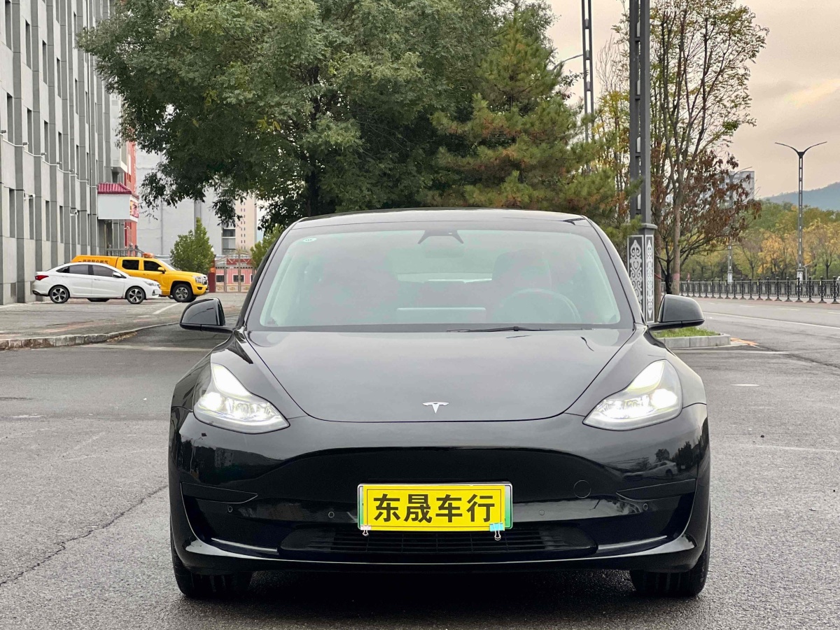 特斯拉 Model 3  2019款 標準續(xù)航后驅(qū)升級版圖片