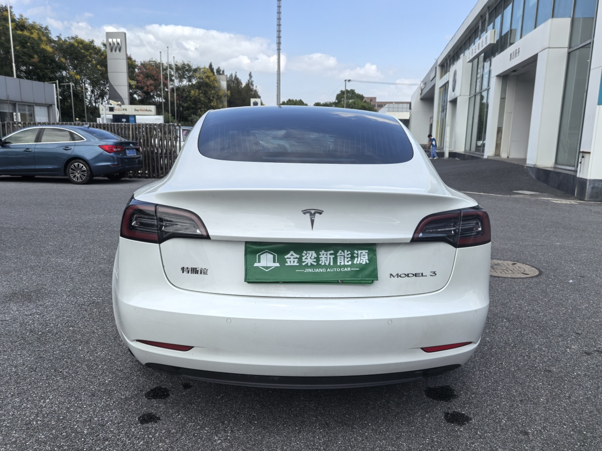 2020年4月特斯拉 Model 3  2019款 標(biāo)準(zhǔn)續(xù)航后驅(qū)升級版