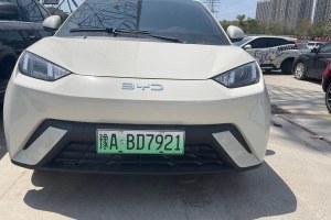 海鷗 比亞迪 305km 活力版