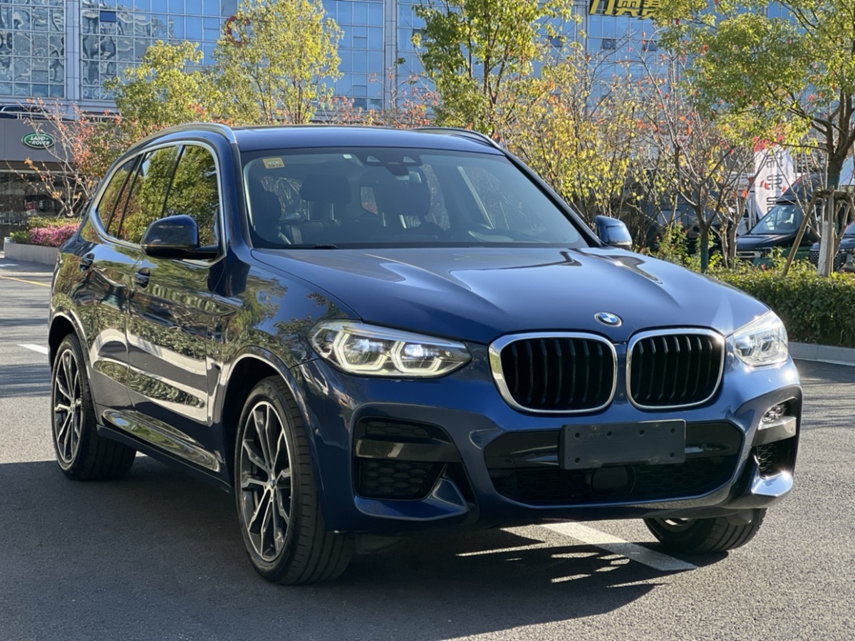 寶馬 寶馬X3  2020款 xDrive30i 領(lǐng)先型 M運(yùn)動(dòng)套裝圖片