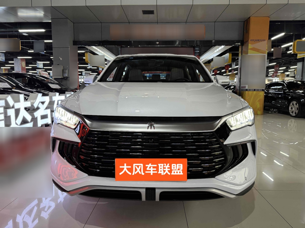 比亞迪 宋Pro新能源  2024款 榮耀版 DM-i 110KM超越型圖片