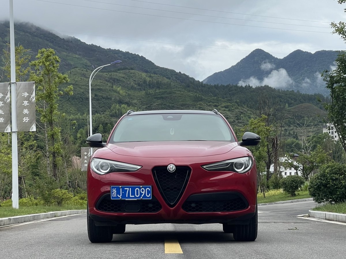 2020年11月阿爾法·羅密歐 Stelvio  2020款 2.0T 280HP 豪華版