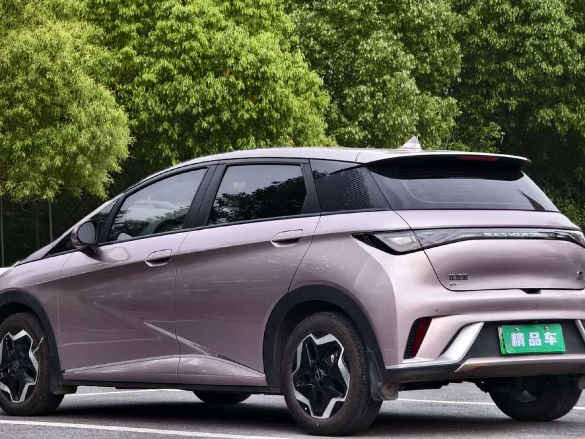 比亞迪 海豚  2021款 405km 時尚版圖片
