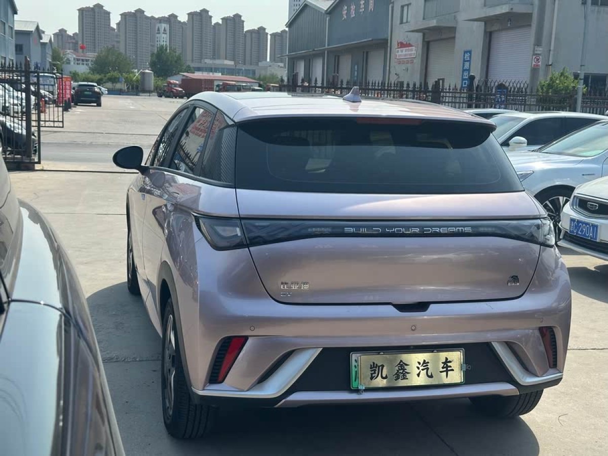 比亞迪 海豚  2021款 405km 時尚版圖片