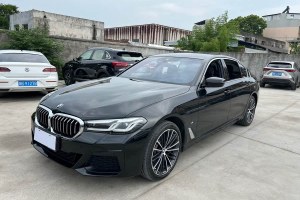 寶馬5系 寶馬 530Li 領(lǐng)先型 M運動套裝