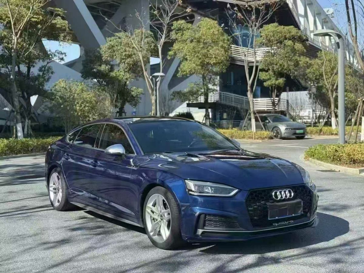 奧迪 奧迪Q5  2018款 典藏版 40 TFSI 技術型圖片