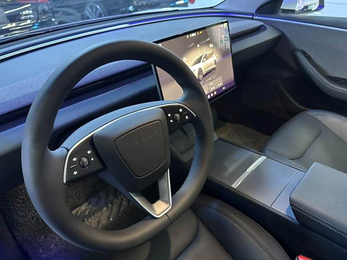 特斯拉 Model Y  2023款 后輪驅(qū)動版圖片