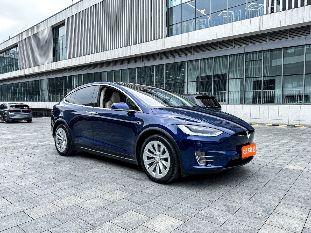 特斯拉 Model X  2017款 Model X 100D 長續(xù)航版圖片