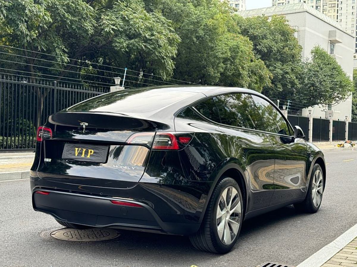 特斯拉 Model Y  2020款 改款 長續(xù)航后輪驅(qū)動版圖片