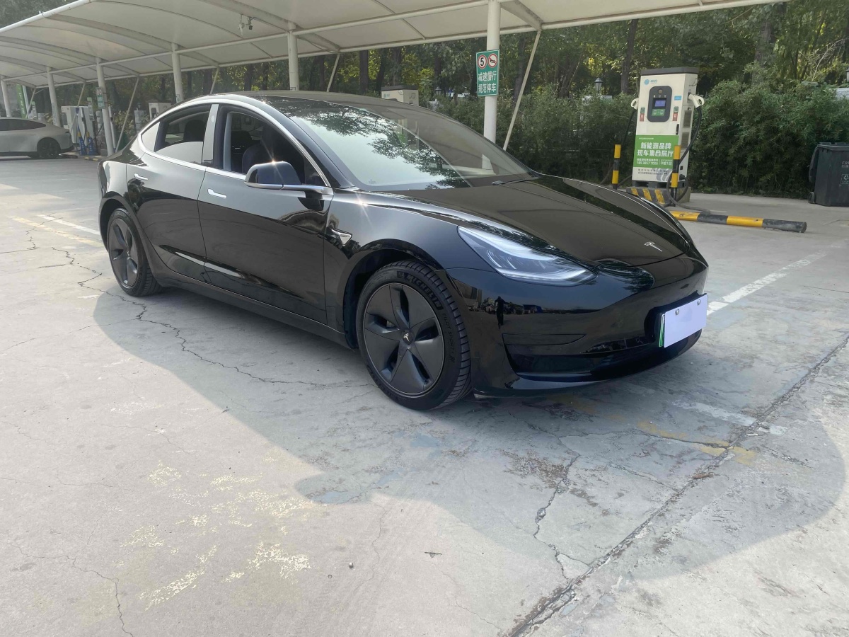 特斯拉 Model 3  2020款 改款 標(biāo)準(zhǔn)續(xù)航后驅(qū)升級(jí)版圖片