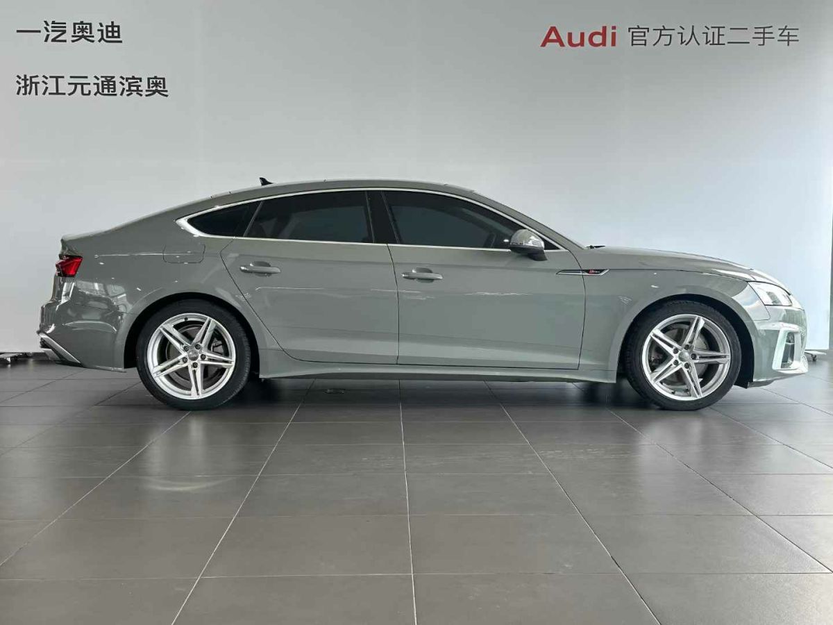 奧迪 奧迪SQ5  2021款 3.0 TFSI quattro圖片