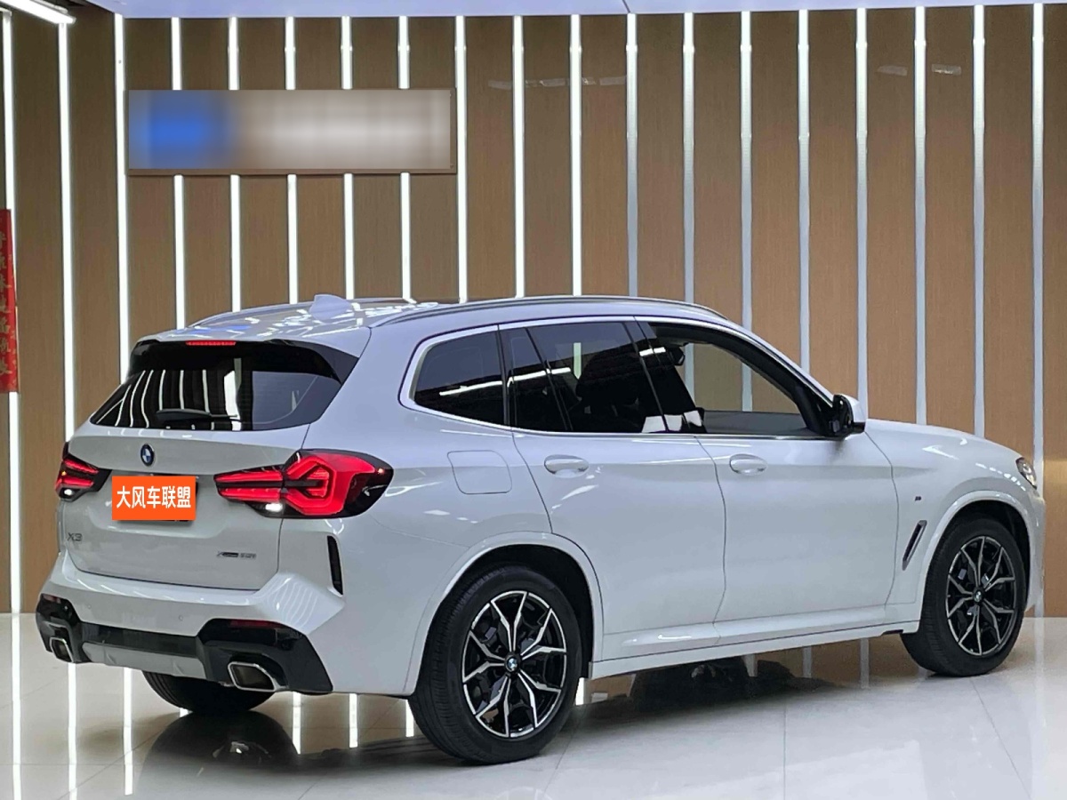 寶馬 寶馬X3  2022款 xDrive25i M運(yùn)動(dòng)套裝圖片