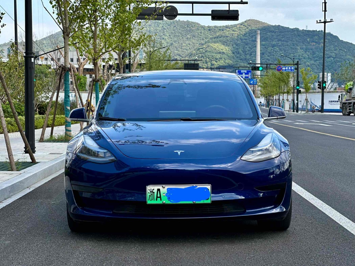 特斯拉 Model 3  2019款 標(biāo)準(zhǔn)續(xù)航后驅(qū)升級版圖片