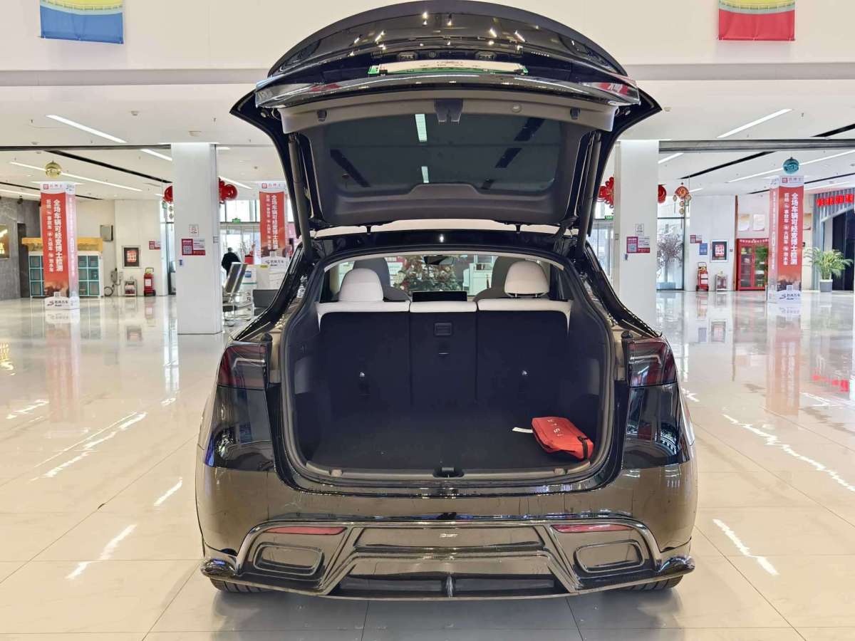 特斯拉 Model Y  2022款 改款 長(zhǎng)續(xù)航全輪驅(qū)動(dòng)版圖片