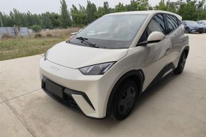 海鷗 比亞迪 305km 活力版