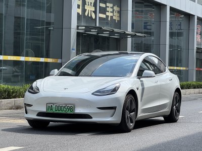 2019年10月 特斯拉 Model 3 長(zhǎng)續(xù)航后驅(qū)版圖片