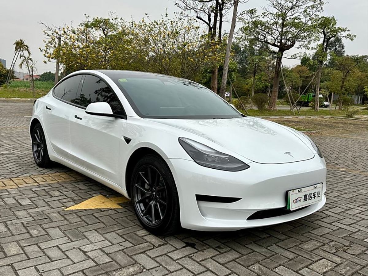 2021年3月特斯拉 Model 3  2021款 改款 標(biāo)準(zhǔn)續(xù)航后驅(qū)升級版