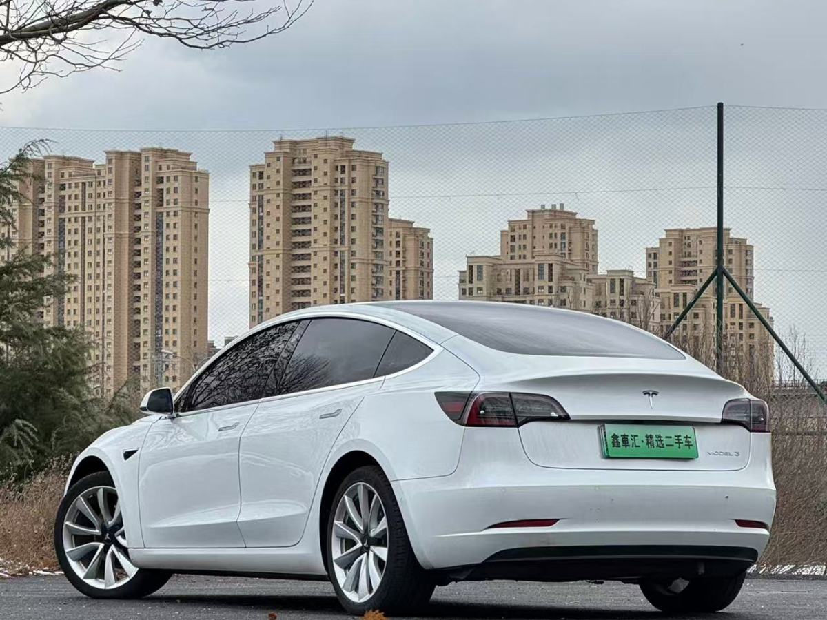 特斯拉 Model 3  2020款 改款 長(zhǎng)續(xù)航后輪驅(qū)動(dòng)版圖片