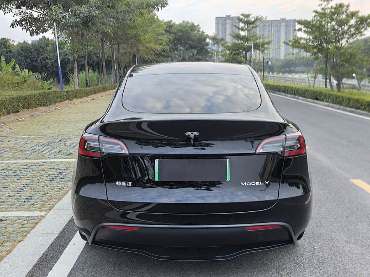 特斯拉 Model 3  2020款 改款 長(zhǎng)續(xù)航后輪驅(qū)動(dòng)版圖片