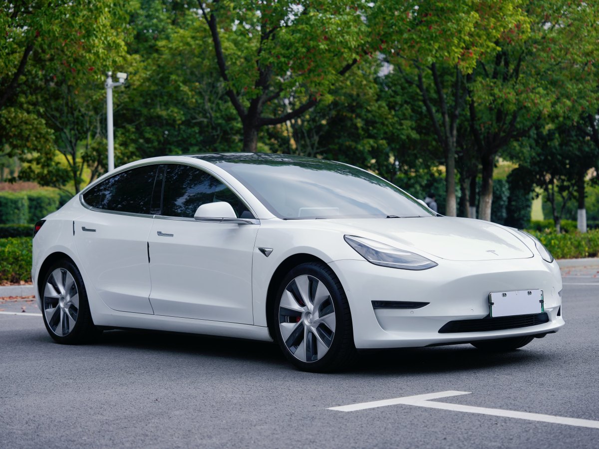 特斯拉 Model 3  2019款 Performance高性能全輪驅(qū)動(dòng)版圖片