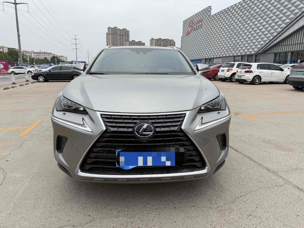雷克薩斯 NX  2019款 300h 百萬(wàn)紀(jì)念限量版 國(guó)VI圖片