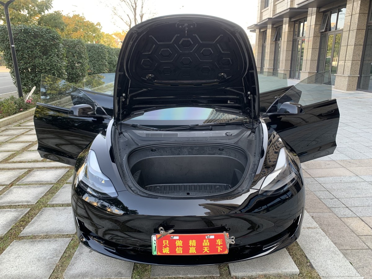 特斯拉 Model 3  2019款 標準續(xù)航后驅升級版圖片