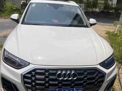 2021年9月 奧迪 Sport 奧迪RS Q8 RS Q8 4.0T圖片