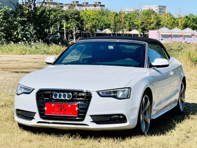 2015年3月 奧迪 奧迪A5(進(jìn)口) Cabriolet 45 TFSI quattro圖片