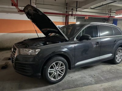 2019年9月 奧迪 奧迪Q7(進口) 45 TFSI 舒適型圖片