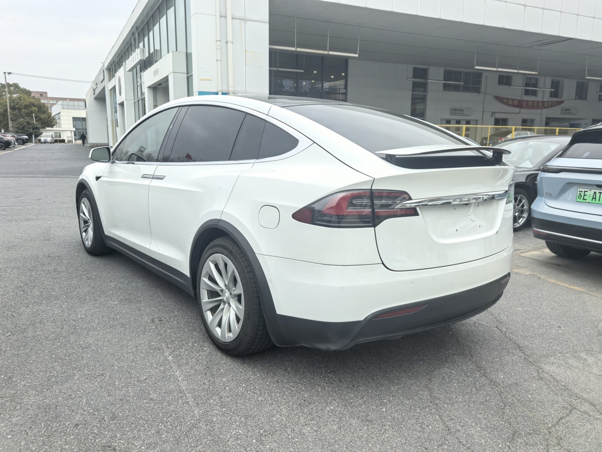 特斯拉 Model X  2019款 長續(xù)航版圖片